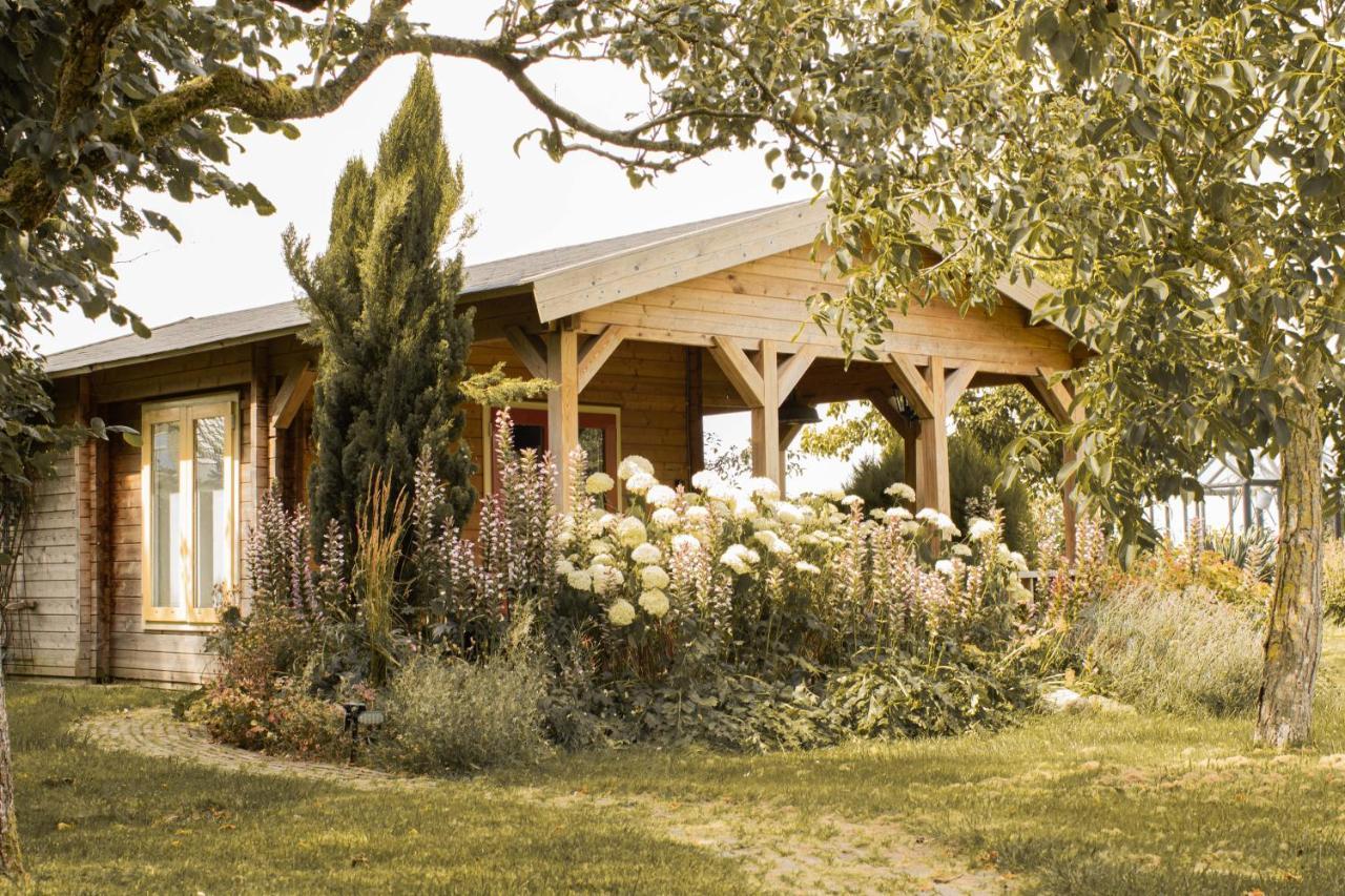 Chalet Ben In Broek Benningbroek Extérieur photo